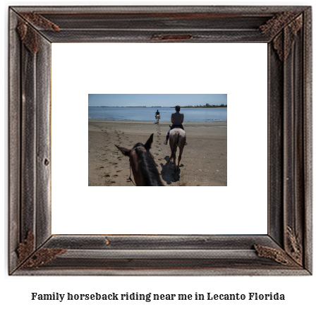 family horseback riding near me in Lecanto, Florida